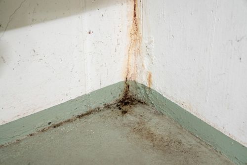 water leaking in basement Milwaukee
